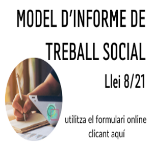 Informe Treball Social Llei 8
